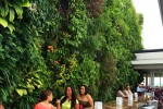 建筑綠化及景觀提升屋頂植物墻