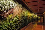 酒店賓館景觀提升室內(nèi)植物墻垂直綠化