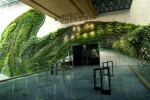 酒店賓館景觀提升室內(nèi)植物墻垂直綠化