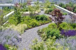 CBD大樓景觀提升屋頂花園