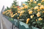 高架橋景觀提升