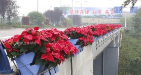 重慶花博會(huì)護(hù)欄綠化景觀提升