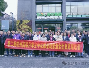 構(gòu)筑學(xué)習(xí)平臺(tái)，傳授杭州網(wǎng)紅高架月季經(jīng)驗(yàn)