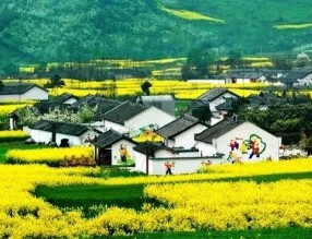 四部門印發(fā)《“十四五”鄉(xiāng)村綠化美化行動方案》，哪些亮點值得關(guān)注？