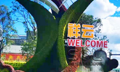主題綠雕