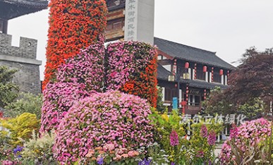 景區(qū)景觀提升