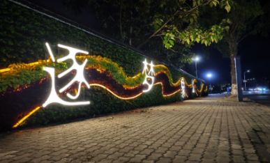 項目夜景展示