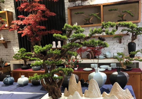 植物裝室