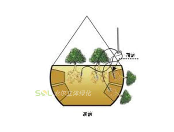 吊盆式組合花樹灌溉示意圖