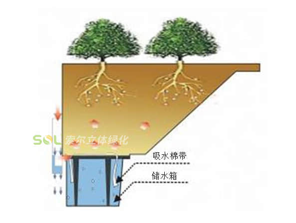 花盆式組合花樹灌溉示意圖