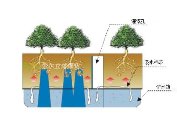 植物墻-組合花盆灌溉示意圖