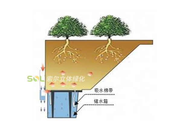 屋頂花園-垂直綠化箱系列灌溉示意圖