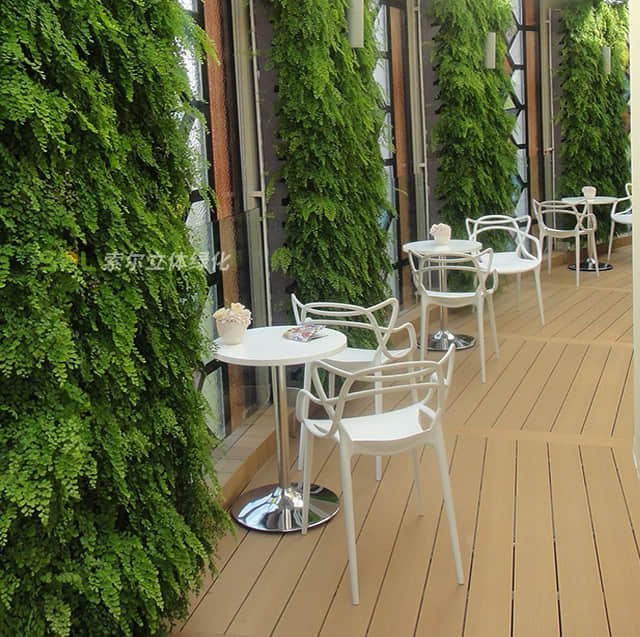植物墻004.jpg