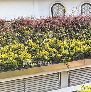 斜坡屋頂綠化
