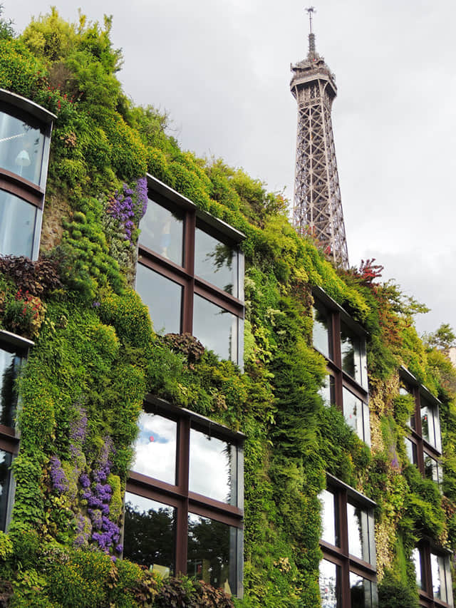 法國(guó)巴黎凱布朗利博物館MuséeduQuai Branly (5)-2.jpg