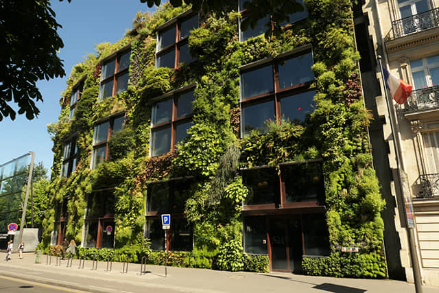 法國(guó)巴黎凱布朗利博物館MuséeduQuai Branly (22)-2.jpg