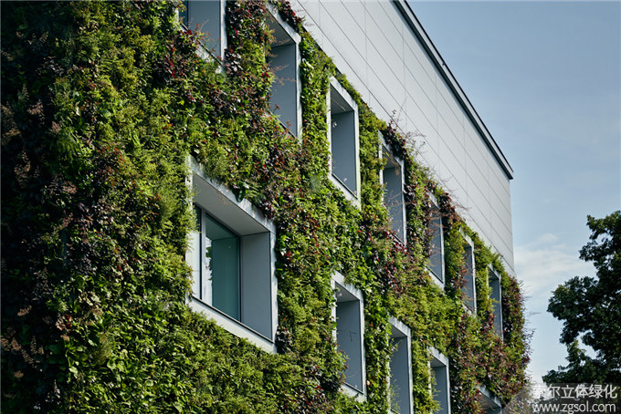 13 植物墻建筑綠化.jpg