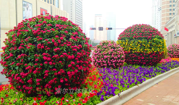 花球解決方案