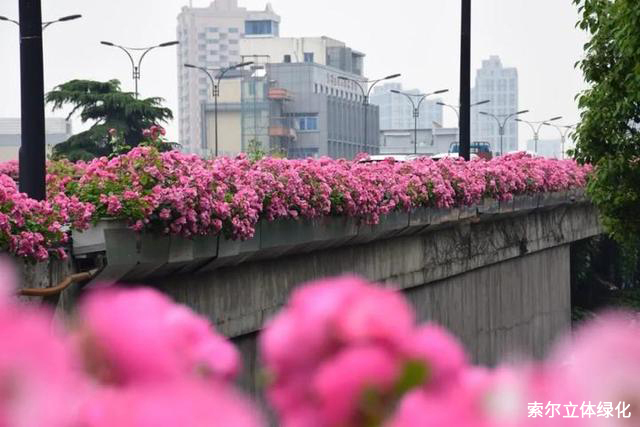 08杭州艮秋立交橋綠化高架橋綠化.jpg