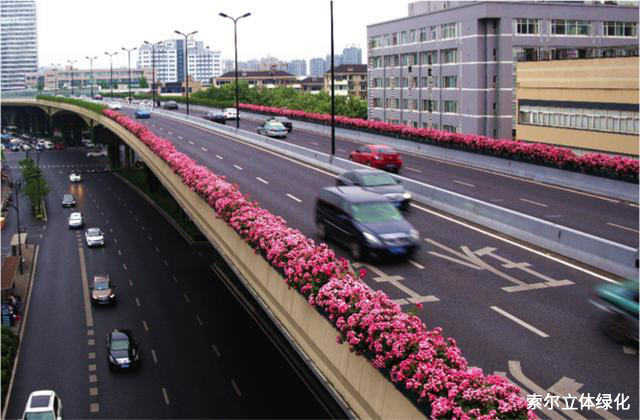 23杭州上塘高架橋.jpg