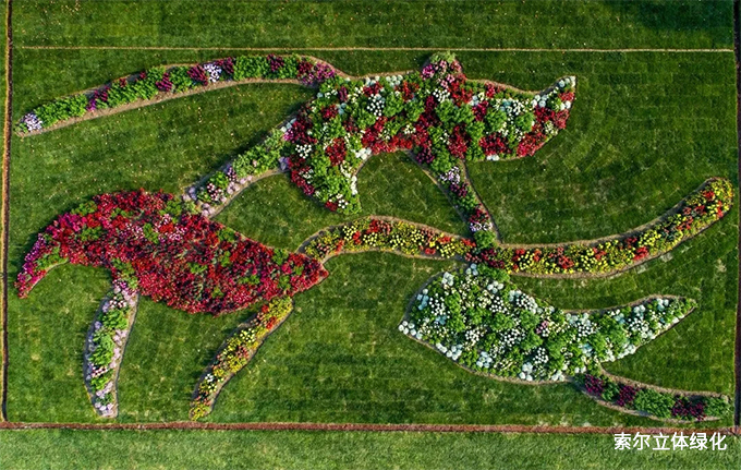 2020世界花園大會(huì)09.jpg