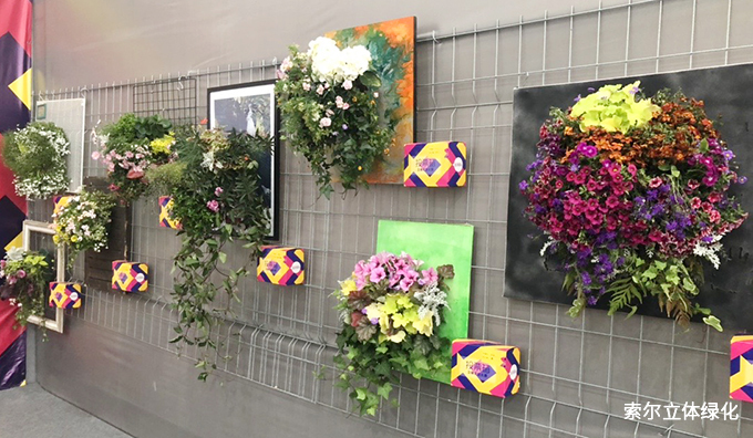 2020世界花園大會(huì)31.jpg