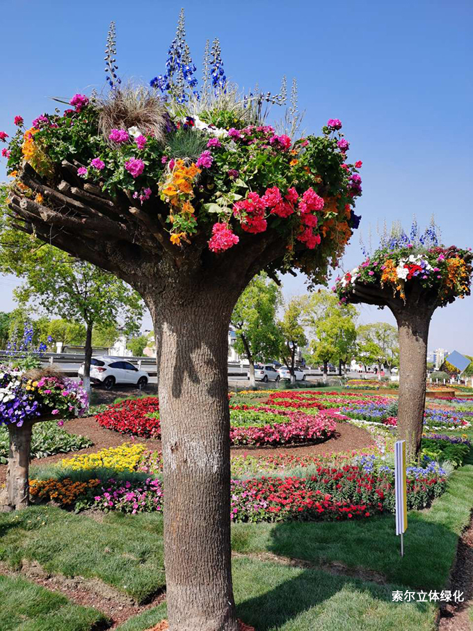 2020世界花園大會(huì)立體景觀44.jpg