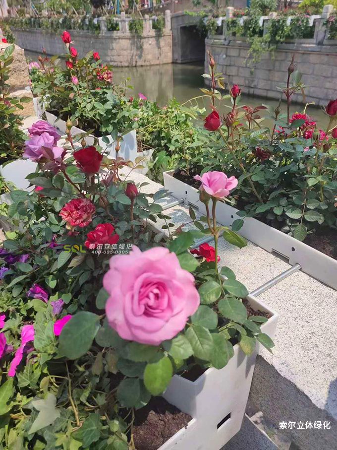 08公園景觀提升解決方案-東臺西溪景區(qū)河岸護(hù)欄美化.jpg