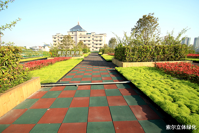 10索爾屋頂綠化屋頂花園.jpg