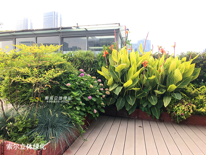 13索爾屋頂花園.jpg