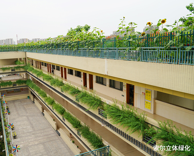 15杭州濮家小學(xué)連廊綠化.jpg