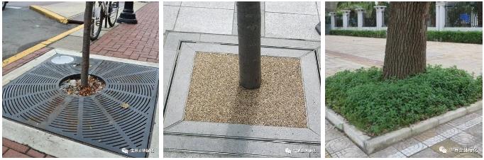05樹池改造.jpg