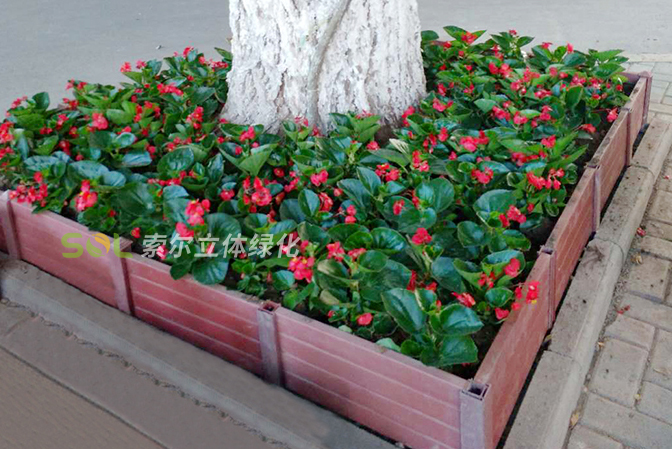 行道樹(shù)綠化公園景點(diǎn)景觀提升3
