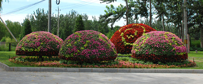 25景觀花球.jpg