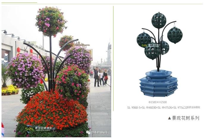 30景觀花樹(shù).jpg