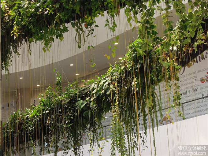 30室內(nèi)空中花園.jpg
