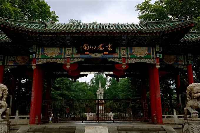邯鄲首個“墻上花園”亮相，不但好看，還能降噪、除塵！ (1).jpg