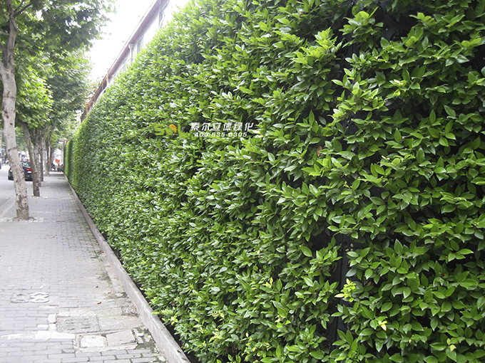 08 道路圍擋垂直綠化圍墻植物墻.JPG