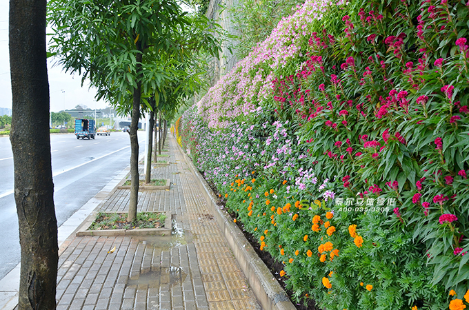12 索爾廣西南寧道路圍擋垂直綠化植物墻.jpg