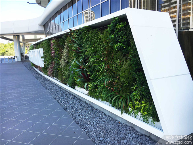 11 大門植物墻建筑綠化垂直綠化.jpg