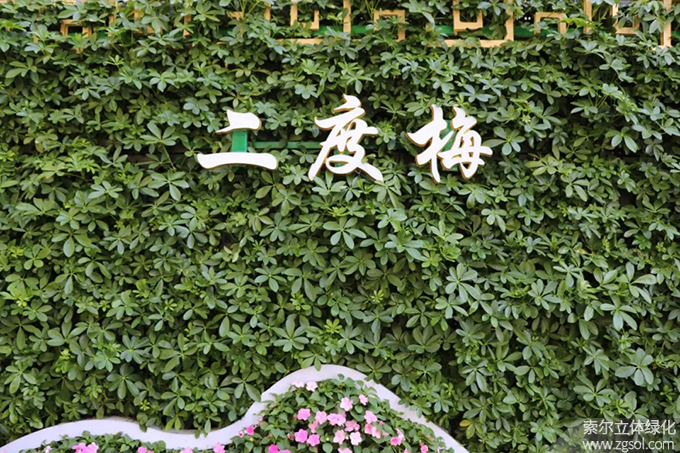 05 2020年9月河北邯鄲叢臺公園5012植物墻項目（AI）.jpg