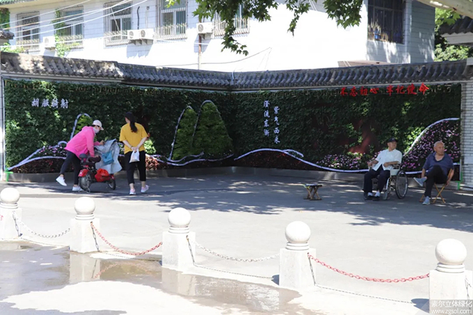 02 2020年9月河北邯鄲叢臺公園5012植物墻項目（AI）.jpg