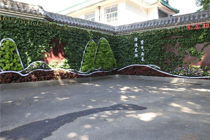 邯鄲首個“墻上花園”亮相，不但好看，還能降噪、除塵！ (5).jpg