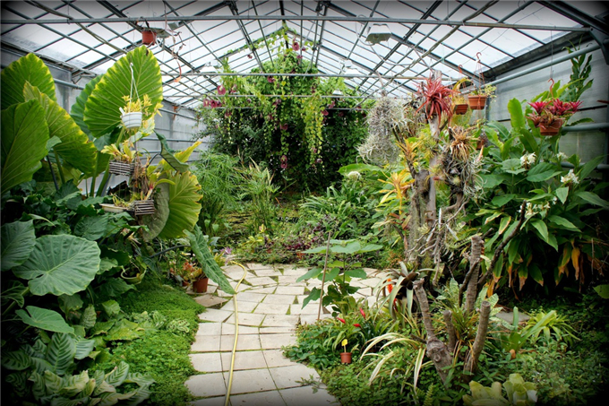 生態(tài)餐廳溫室花園 (26).jpg