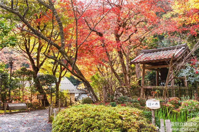 18日式庭院-茶庭.jpg