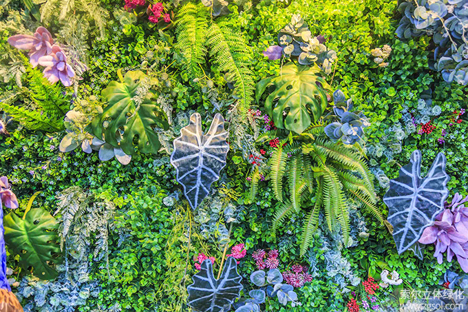 11室內(nèi)植物墻.jpg