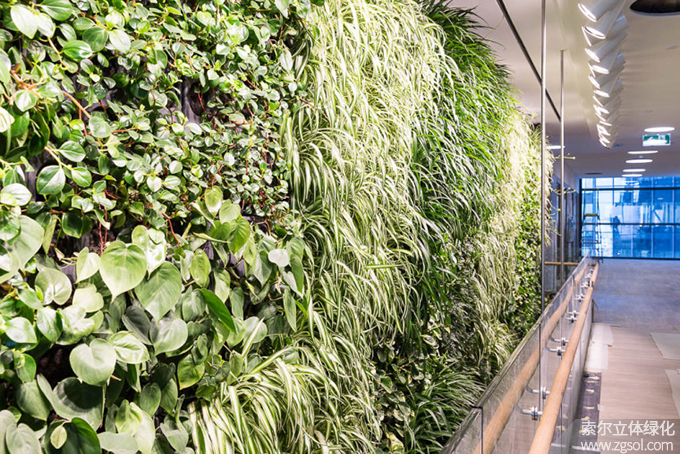 15室內(nèi)植物墻.jpg
