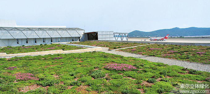 28西班牙伊比沙島機(jī)場航站樓屋頂綠化02.jpg