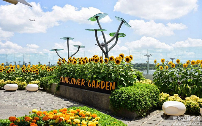 29新加坡樟宜機(jī)場屋頂花園向日葵花園 (2).jpg