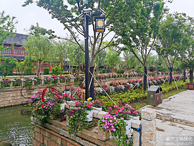 30江蘇東臺西溪古鎮(zhèn)景區(qū)五一景觀提升 (54)河岸護欄綠化.jpg